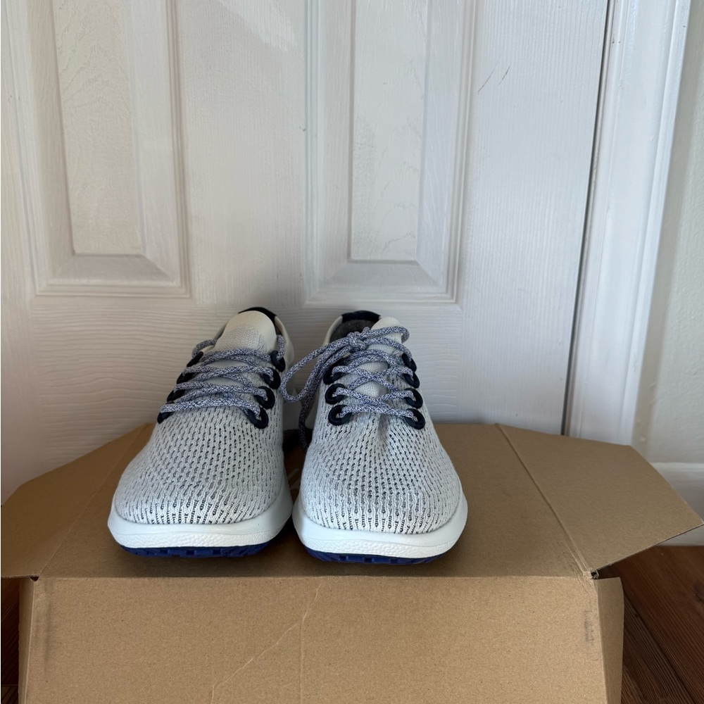 Allbirds Men Tree Dasher Shoes
